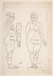 デューラーの「人間の比率に関する 4 冊の本」からの挿絵、ニュルンベルク、1528.nd. 作： Albrecht Dürer