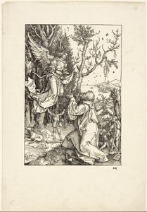 『聖母の生涯』より ヨアヒムと天使 作： Albrecht Dürer