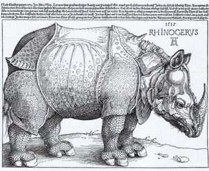 ラテン語  Rhinocerus サイ 作： アルブレヒト・デューラー