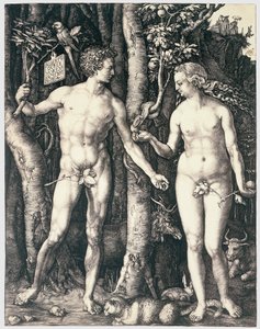 原罪 作： Albrecht Dürer