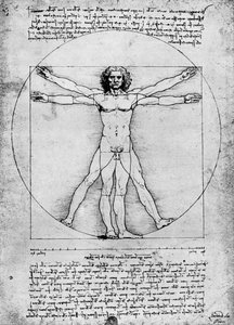 人物の比率、c1492、1936 作： Albrecht Dürer