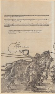  作： Albrecht Dürer