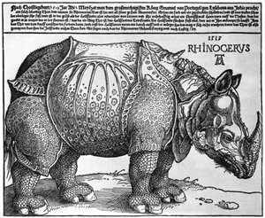 リスボンの王、マクシミリアン1世に与えられた版画、1515年、1936年