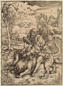  作： Albrecht Dürer