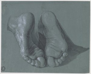 2フィートの研究