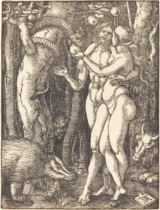 人間の堕落 作： Albrecht Dürer