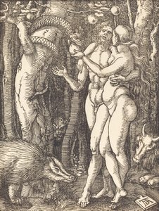 人間の堕落、おそらくc。 15091510。 作： Albrecht Dürer