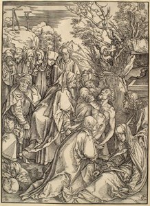  作： Albrecht Dürer