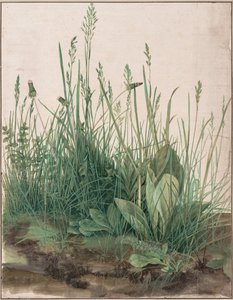 芝の大部分、1503 作： Albrecht Dürer
