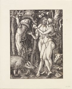  作： Albrecht Dürer
