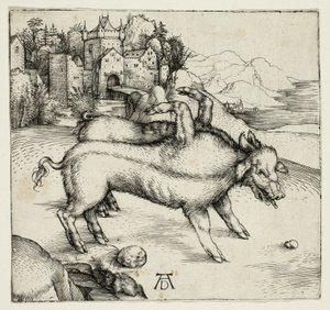 ランザーの巨大な雌豚 作： Albrecht Dürer