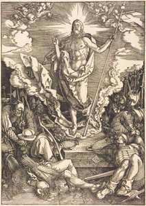  作： Albrecht Dürer