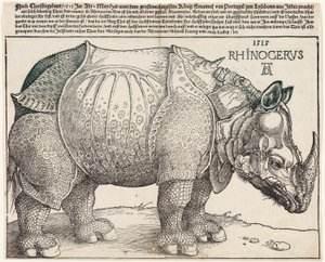 サイ 作： Albrecht Dürer