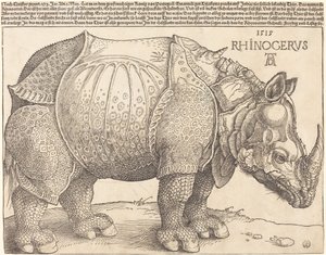 サイ、1515年。