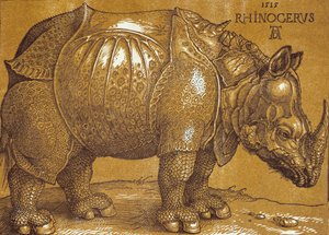 サイ、1515年。 作： Albrecht Dürer