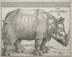 サイ、1515年。