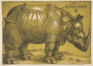 1620年以降のサイ。