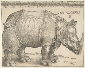 Rhinoceros.n.d. 作： Albrecht Dürer