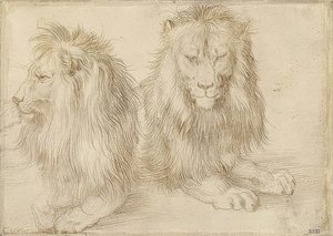 2つの横になっているライオン。 1521 作： Albrecht Dürer