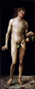  作： Albrecht Dürer or Duerer