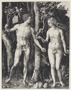 アダムとイブ 作： Albrecht Dürer