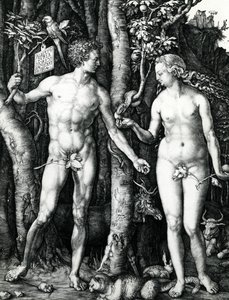 アダムとイブ 作： Albrecht Dürer