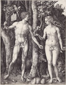 アダムとイブ、パブ。1504年に描かれたもの 作： Albrecht Dürer