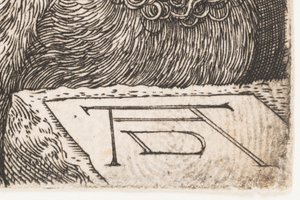  作： Albrecht Dürer or Duerer