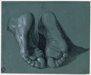 Etude de pieds - Study of Two Feet - Drawing by Albrecht Durer (1471-1528), Watercolour, white color, black chalk on paper, c1508 (17.6x21.6cm) - Museum Boijmans Van Beuningen、ロッテルダム