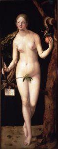  作： Albrecht Dürer or Duerer
