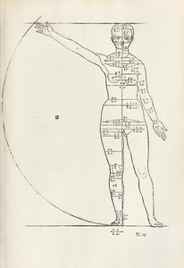 Hierinn sind begriffen vier bücher von menschlicher Proportion」の女性の解剖学的木版画