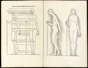 スタッフがいる女性、こちらからの解剖学的な木版画は、人間のプロポーションの4冊の本であると理解されています、1528 作： Albrecht Dürer