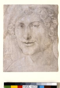 若い男の頭、1503 作： Albrecht Dürer