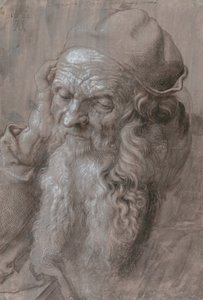 老人の頭 作： Albrecht Dürer