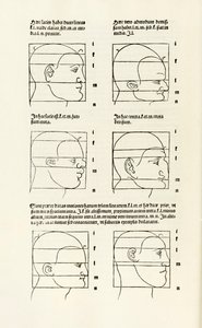 Hierinn sind begriffen vier bücher von menschlicher Proportion（人間の比率に関する4冊の本）」より、人間の頭部の比率。 作： Albrecht Dürer