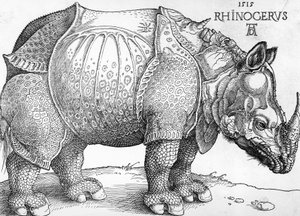 Rhinoceros 作： Albrecht Dürer
