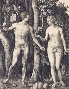 アルブレヒト・デューラーの「人間の堕落 作： Albrecht Dürer