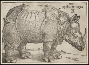サイ、1515