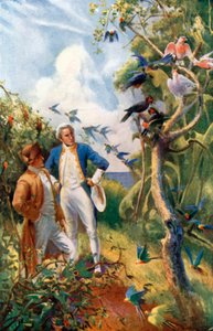 キャプテン・クック、ボタニー・ベイにて（カラーリトグラフ） 作： Alec Ball