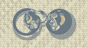 概要 『Feline Infinity』 作： 