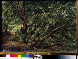 「川の木々」アレクサンドル・イワノフ（1806-1858）による絵画、1837年国立ロシア美術館、サンクトペテルブルク 作： Aleksandr Andreevich Ivanov