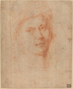 若者の頭 作： Alessandro Allori