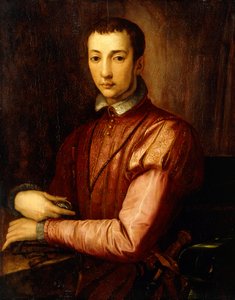Francesco I d "Mediciの肖像
