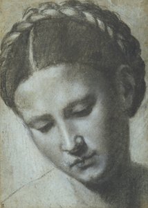 編んだ髪の女性の頭（カルタ・アッズーラに木炭・白チョーク 作： Alessandro Bonvicino Moretto