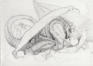ファンタスティック クリーチャー: 卵を守るドラゴン。 アレッサンドロ・ロナティによる鉛筆画 作： アレッサンドロ・ロナティ