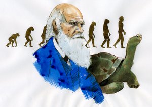 チャールズ ダーウィンの肖像 - イギリスの博物学者チャールズ ダーウィンの肖像 (1809-1882) イラスト