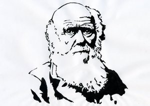 チャールズ ダーウィンの肖像 - イギリスの博物学者チャールズ ダーウィンの肖像 (1809-1882) イラスト