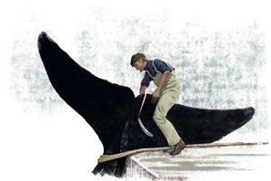 クジラの尻尾を切るクジラ船 作： Alessandro Lonati