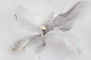 『フルイド・ゴールド』概要