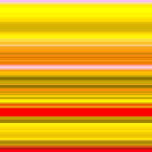 №38,2017,(写真) 作： Alex Caminker